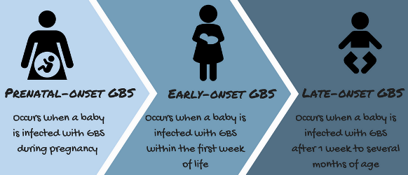 onset of Group B Strep can be prenatal, early (1st week), or late (1st months)