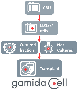 Graphic of Gamida Cell manufacturing for Omidubicel
