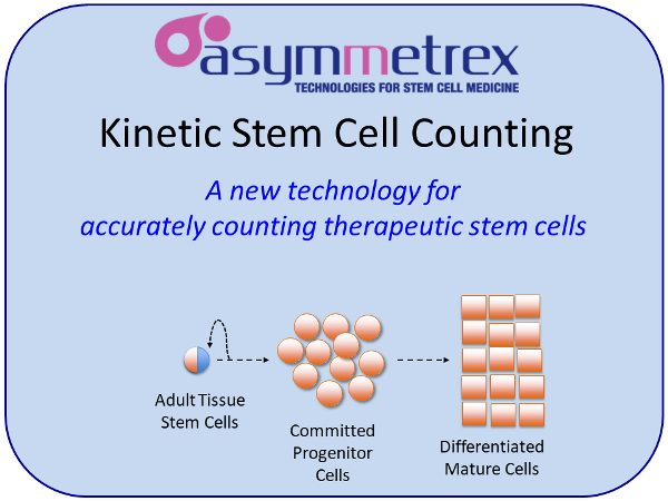 Kinetic Stem Cell Counting from Asymmetrex slide 1 of 13