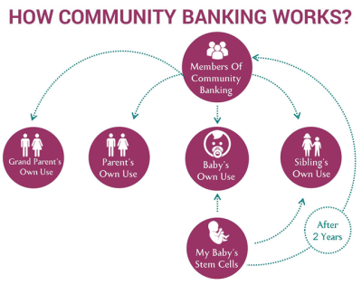 Flow chart of Community Banking model from LifeCell International