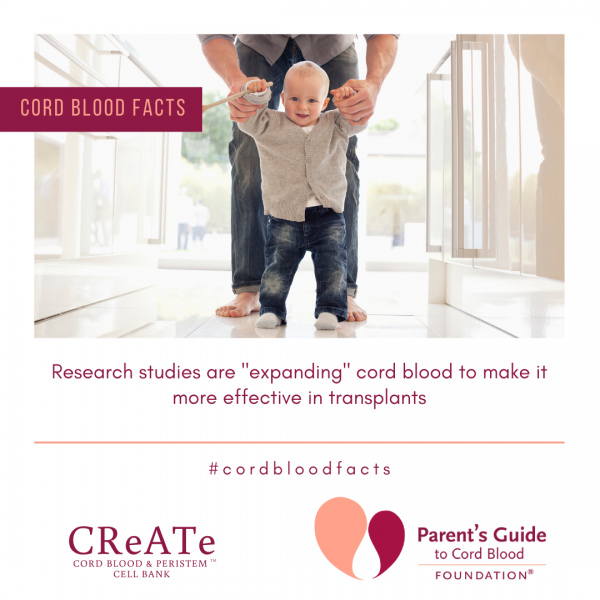 Research studies are &quot;expanding&quot; cord blood to make it more effective in transplants
