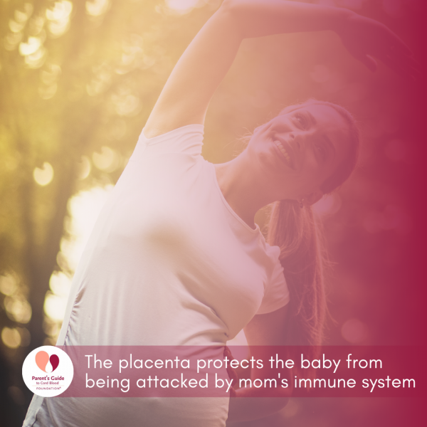 The placenta protects the baby from being attacked by mom's immune system