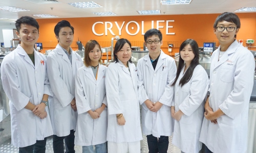 Cryolife, Hong Kong, professional team