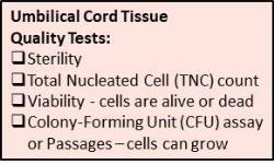 4 Interesting Facts on Umbilical Cords - Cordlife India