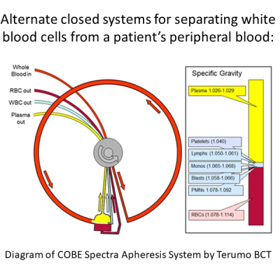 Alternate closed systems for separating white blood cells from a patient’s peripheral blood: COBE Spectra Apheresis by Terumo BCT
