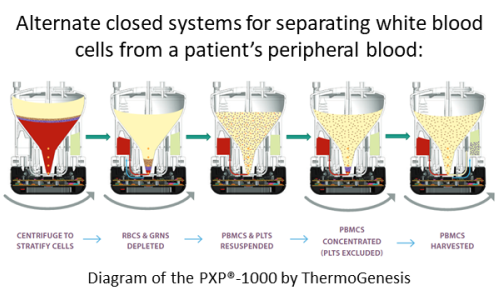 Alternate closed systems for separating white blood cells from a patient’s peripheral blood: PXP®-1000 System by ThermoGenesis