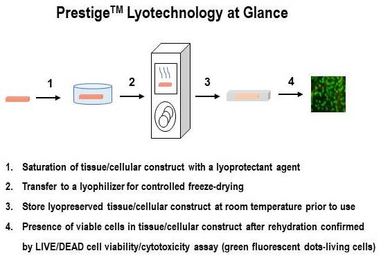 Lyophilisation