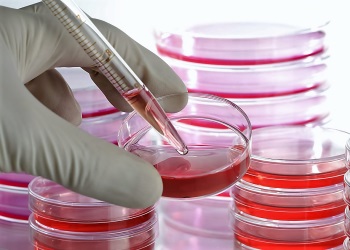 image of Cell Culture Media from science-medical.com