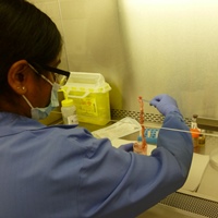technician Sweta Intwala processing cord tissue in the Cell Care Toronto laboratory