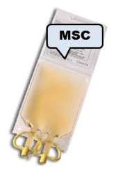 blood bag holding MSC