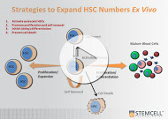 STEMCELL Technologies resource