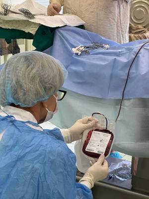 Neonatal cardiac transfusion as a product from cord blood banks
