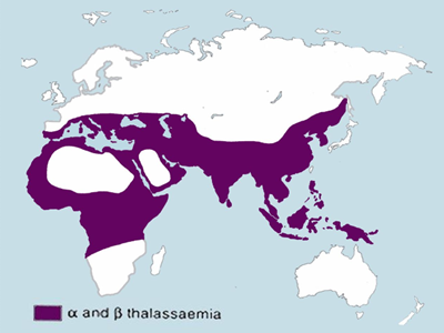 Map Alpha and Beta Thalassemia Carriers