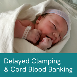 Viacord study on Delayed Cord Clamping