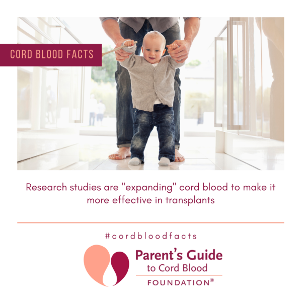 Research studies are &quot;expanding&quot; cord blood to make it more effective in transplants