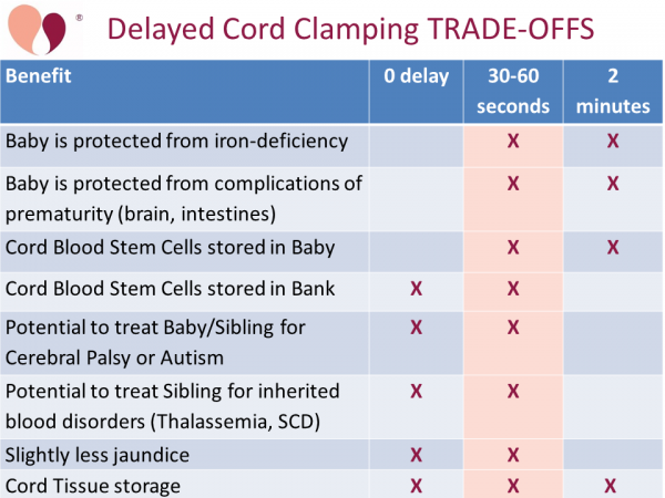 Parent's Guide Cord Blood: Delayed Cord Clamping TRADE-OFFS