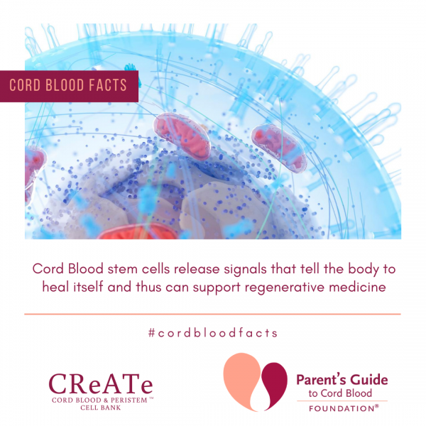 Cord Blood stem cells release signals that tell the body to heal itself and thus can support regenerative medicine