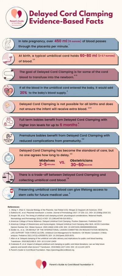 From Pregnancy to Birth: A Guide to Umbilical Cord Health