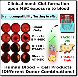 MSC infusions: more is not always better - image 3