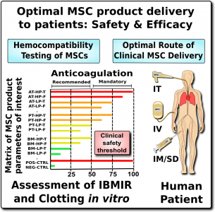 MSC infusions: more is not always better - image 4