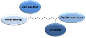 schematic diagram of drug molecule components