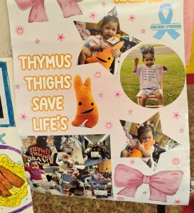 Rainbow of Heroes 2025