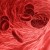 iStock photo normal red blood cells in vein