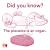 DID YOU KNOW? The Placenta is an Organ.