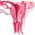 Restoring Women’s Fertility with Birth Tissues