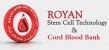 Parent's Guide Cord Blood Interview with Royan