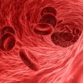 iStock photo normal red blood cells in vein iStock photo normal red blood cells in vein