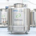 Cell Care of Australia owns Canadian cord blood banks Insception Lifebank and Cells for Life