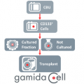 Graphic of Gamida Cell manufacturing for Omidubicel Graphic of Gamida Cell manufacturing for Omidubicel