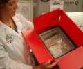 collection kit for Carolinas Cord Blood Bank