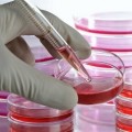 image of Cell Culture Media from science-medical.com
