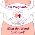 I’m Pregnant – What do I Need to Know?