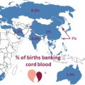 map percentage of births banking cord blood map percentage of births banking cord blood