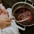 Can You Sell Your Baby’s Placenta? Can You Sell Your Baby’s Placenta?