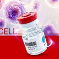Royan: Treating Autism with Donated UC-MSC product Whartocell Royan: Treating Autism with Donated UC-MSC product Whartocell
