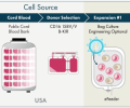 Sustainability of public cord blood banks and challenges of biotherapy applications